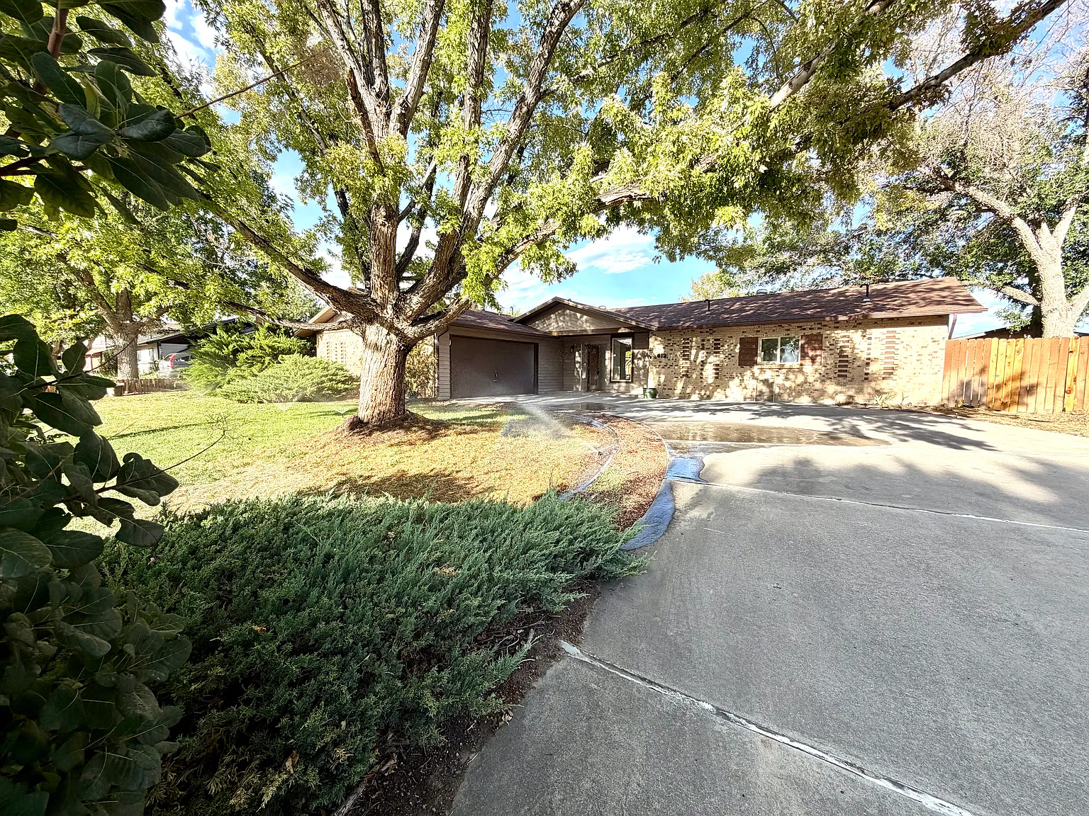 3 bed, 1788 sqft, $2,775 — Photo 4
