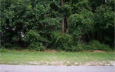 1st image of 460 Highlands Lake Dr