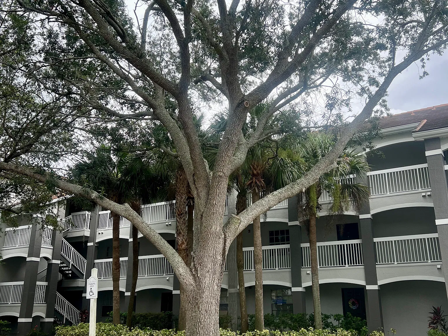 14025 Fairway Island Dr — Photo 3