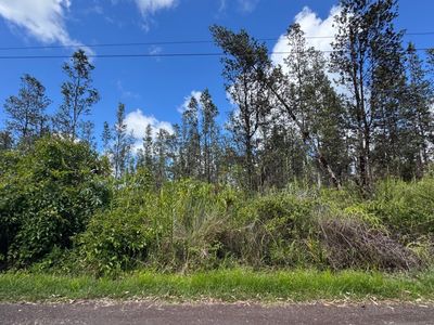 16-1955 Ooaa Rd, Mountain View, HI, 96771