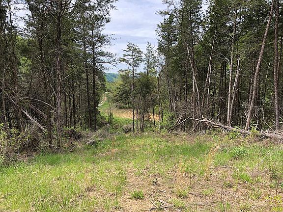 4th image of Tbd Coy Bradley Ln
