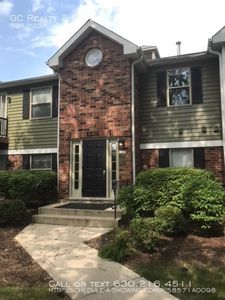 1336 Mc Dowell Rd, Naperville, IL, 60563