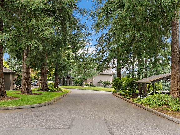 Peaceful, tree-filled surroundings throughout Willow Hill Apartments.