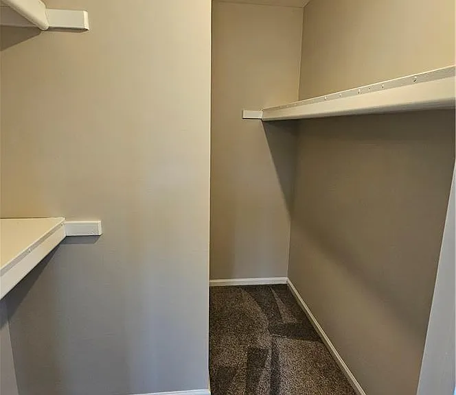 1016 Dogwood Ct — Photo 14