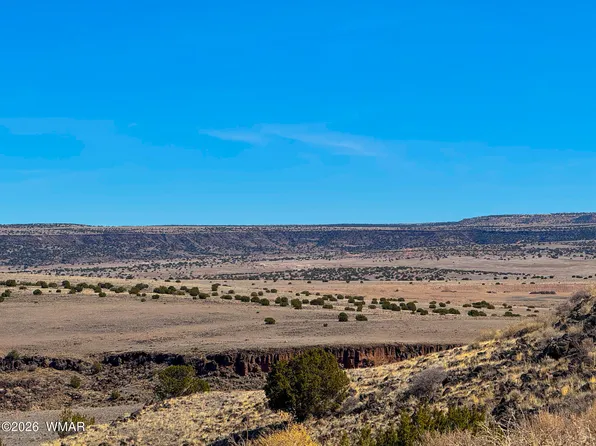 0 County Road 4008, Saint Johns, AZ 85936