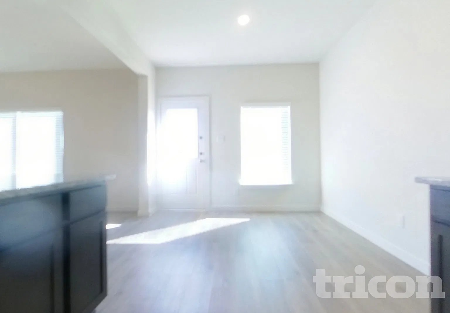 1317 Wind Drift Way Fort Worth TX — Photo 4