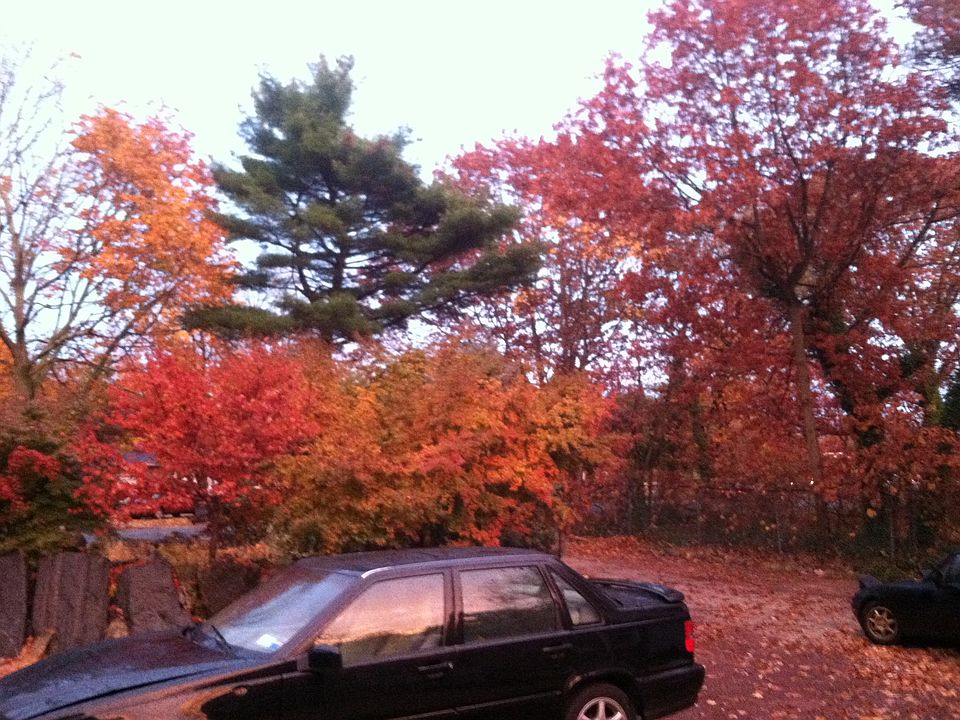 10/14 view from front window