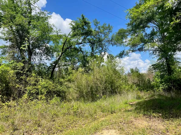 County Road 1464, Center, TX 75935