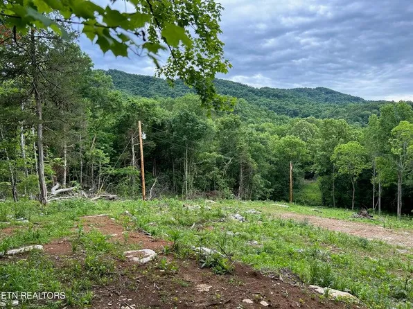 6997 Beech Grove Rd, Tazewell, TN 37879