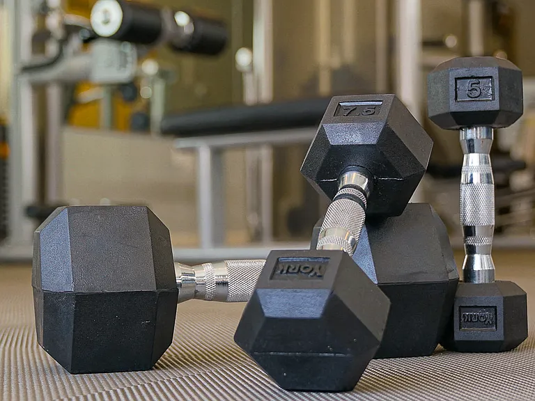 Free weights
