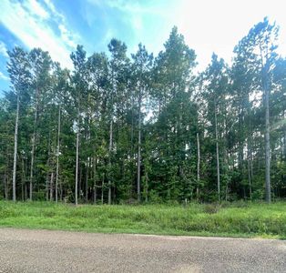 (Undisclosed Address), Doddridge, AR, 71834