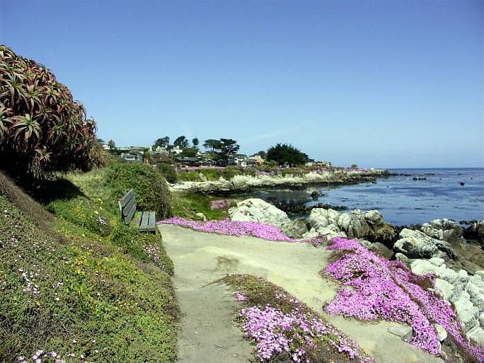Ocean side walking trail