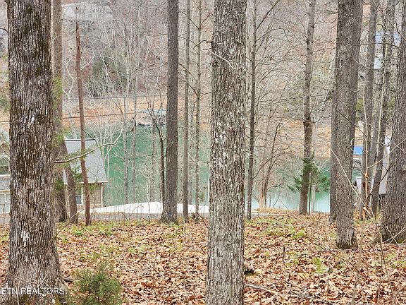 3rd image of LOT 21 Deer Trl