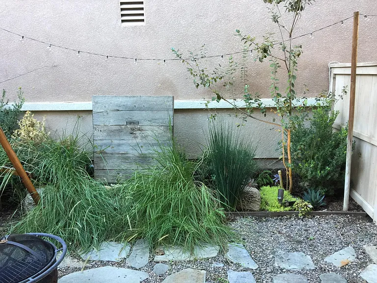 10 Staghorn — Photo 9
