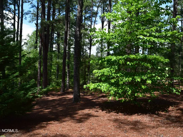 102 Otter Dr Drive, West End, NC 27376