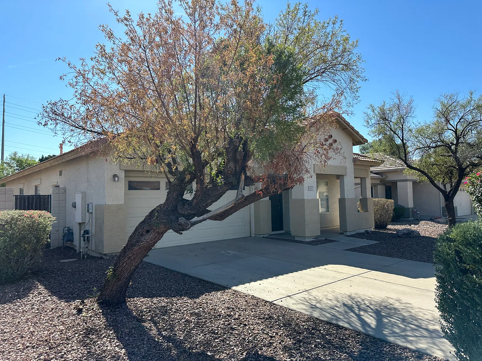 3 bed, 2.0 bath, 1540 sqft, $2,195 — Photo 3