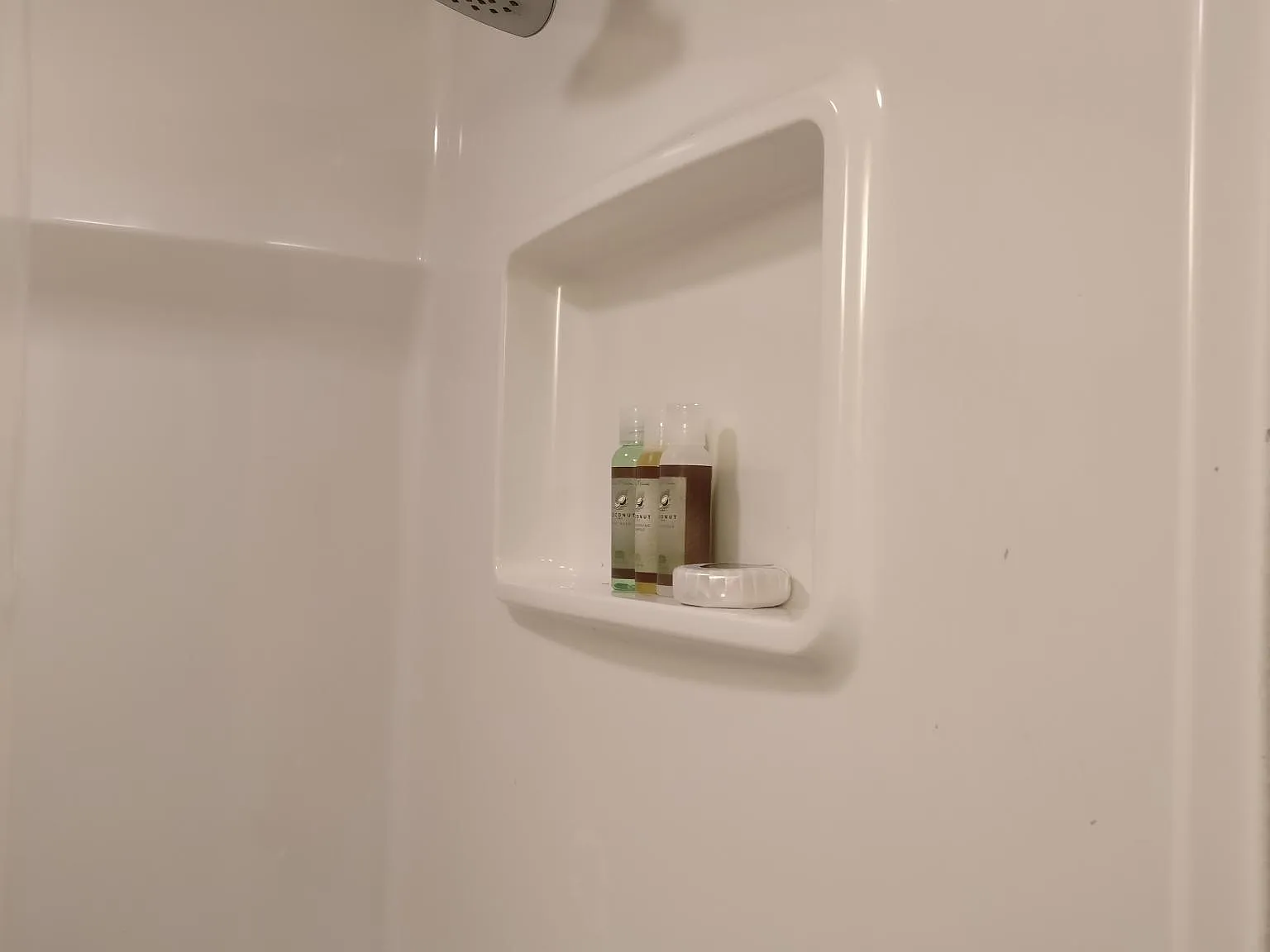 1 bed, 1200 sqft, $1,800 — Photo 3
