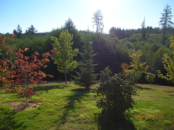 view from great room window