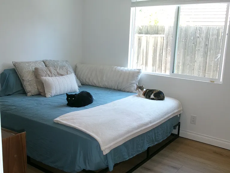 2202 Scenic Park St — Photo 22