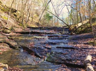 3482 Waterfall Creek Rd, Collinwood, TN 38450