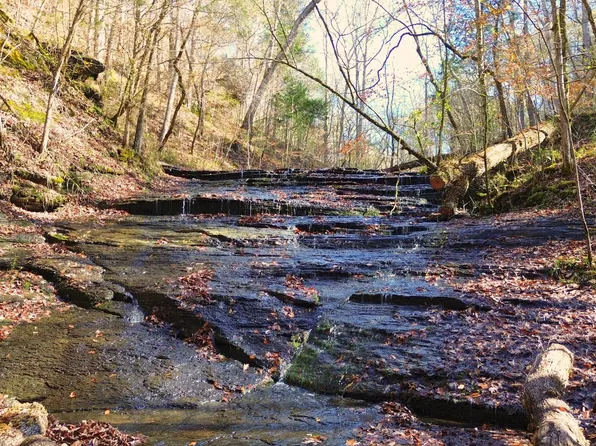 3482 Waterfall Creek Rd, Collinwood, TN 38450