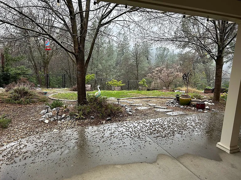 4364 Songbird Way — Photo 35