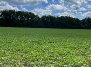 Royalton Rd, Grafton, OH 44044