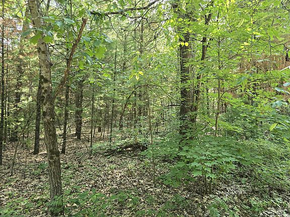 2nd image of Vl E Michland Path