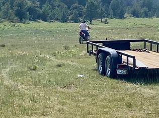 127 Sedgewich Drive, Hartsel, CO 80449