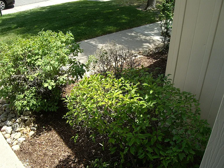 3655 S Kittredge St #E — Photo 22