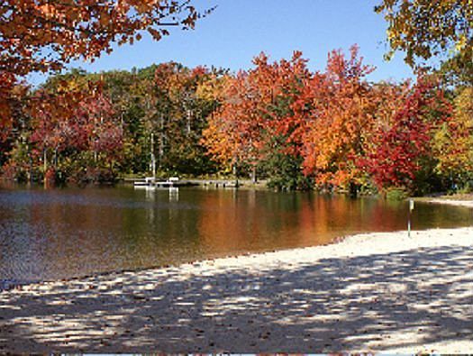 Lake and Beach