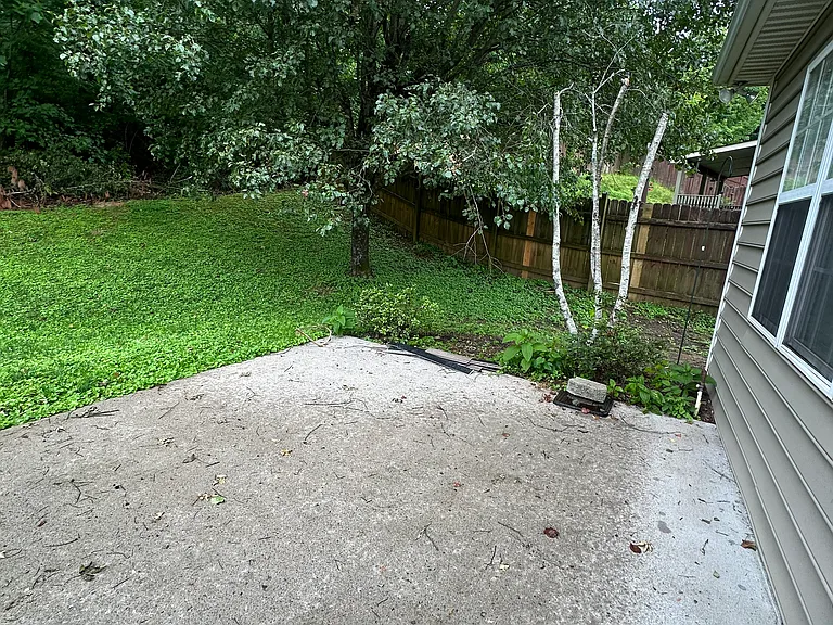 Backyard