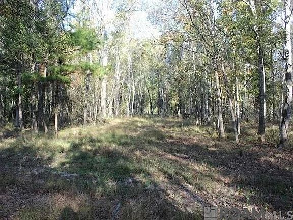5th image of 28545 Coker Vail Rd N