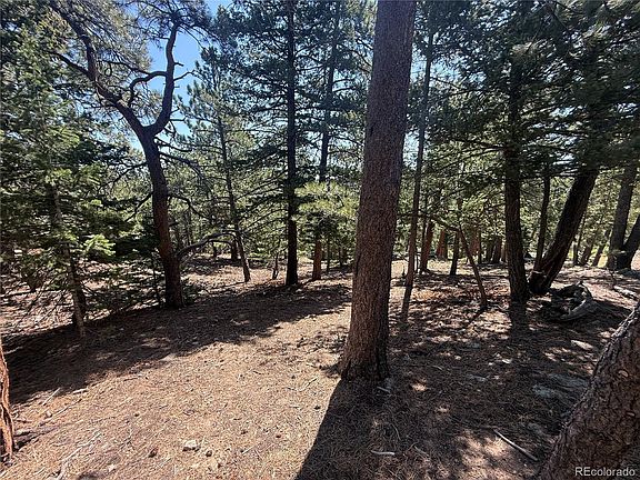 5th image of 11548 Overlook Drive