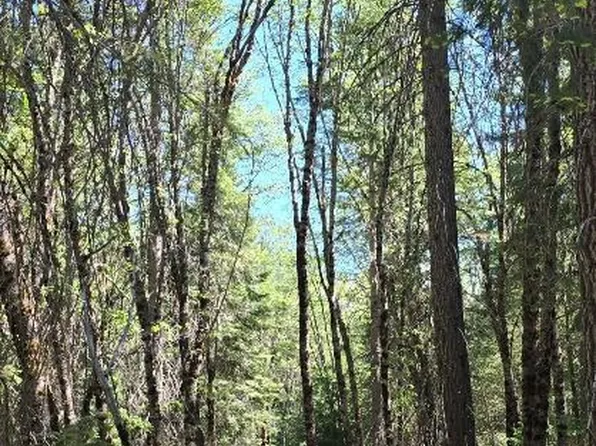 PARCEL 6 Castle Lake Rd, Mount Shasta, CA 96067