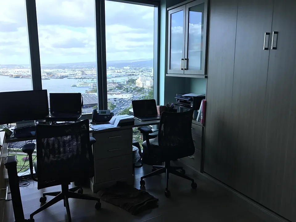 2nd Bedroom-Office (Murphy Bed on Right)