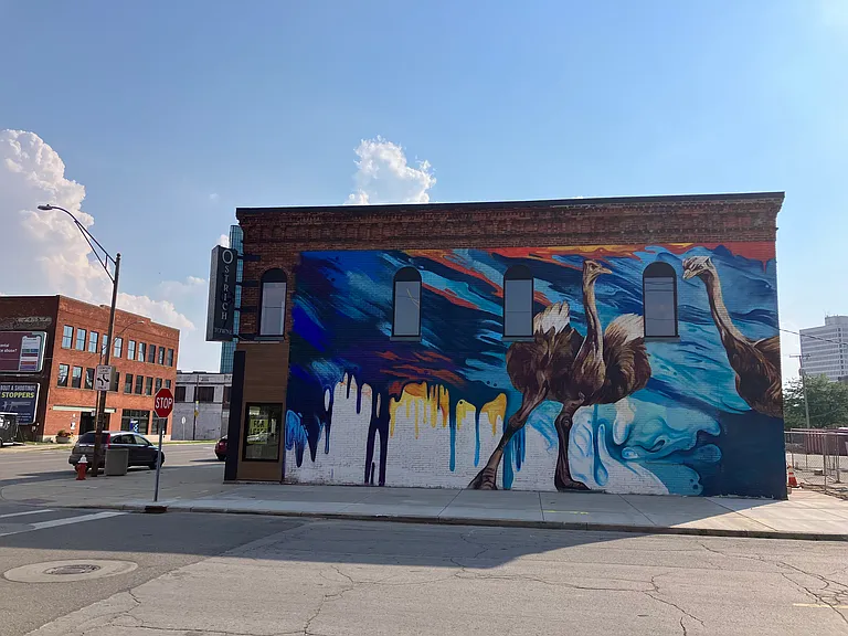1137 N Superior St — Photo 16