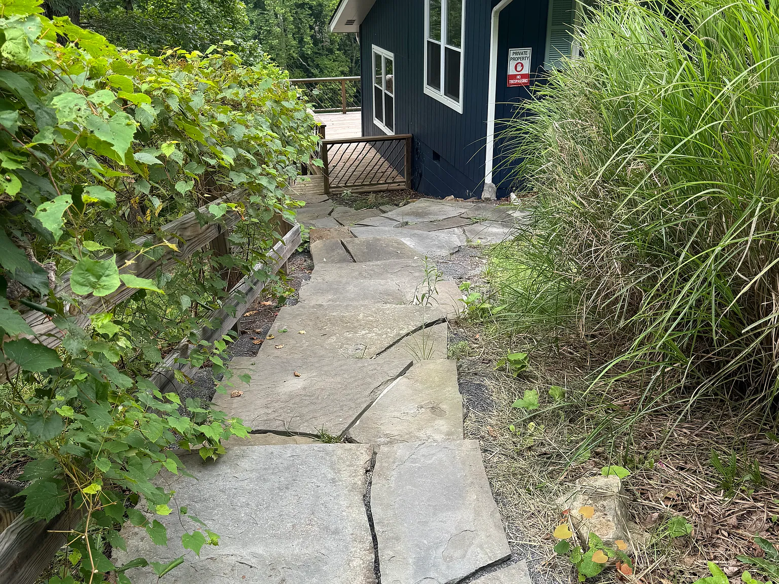 3 bed, 1.5 bath, 1700 sqft, $2,500 — Photo 2