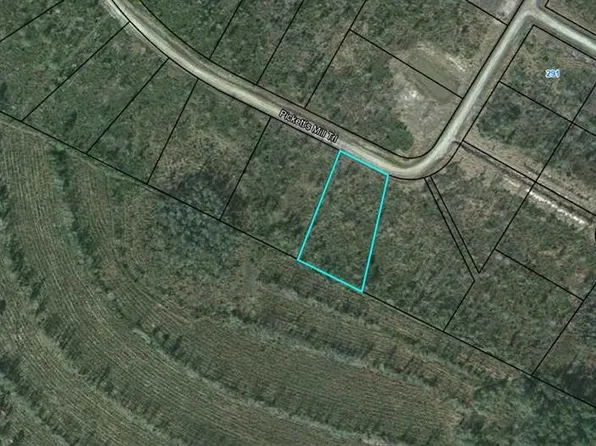 24 Picketts Mill Trl, Waynesville, GA 31566