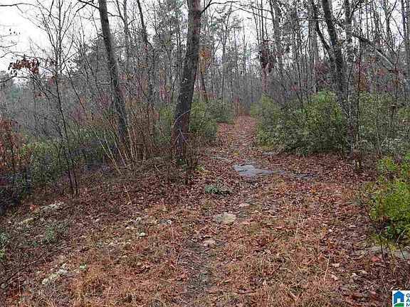 5th image of LOT 11 Winding Creek Ln Lot 11
