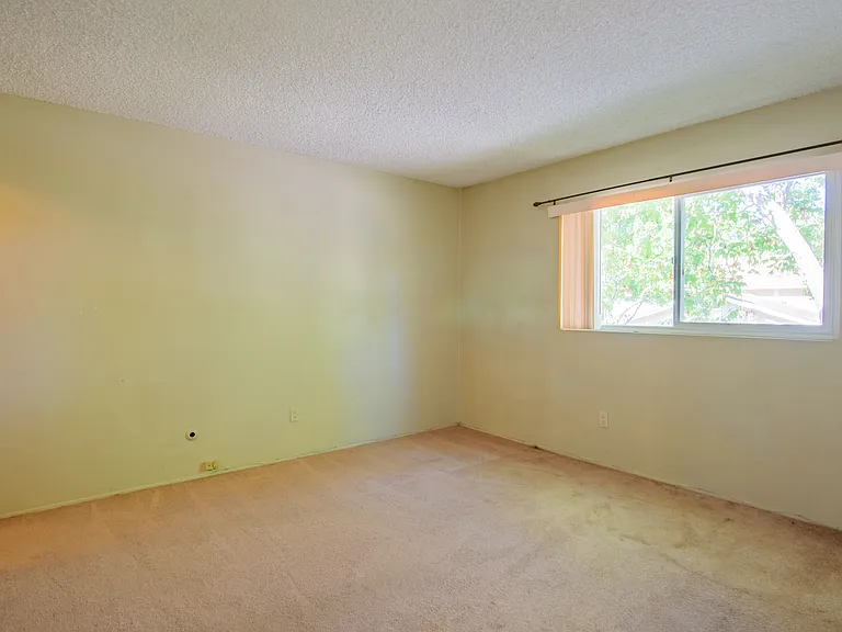 8067 Camino Kiosco — Photo 11