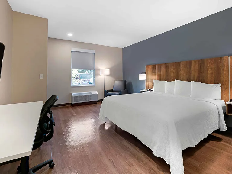 Studio Suite - 1 King Bed