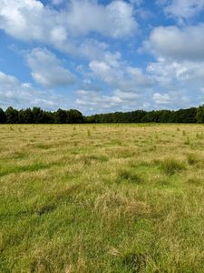 2061 Lovorn Rd, Louisville, MS, 39339