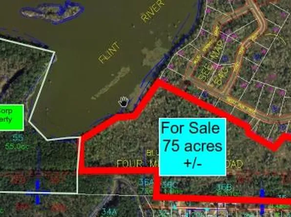 1455 Faceville Hwy, Bainbridge, GA 39819