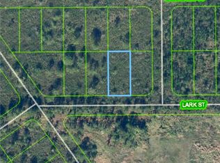 1322 Lark St, Lake Placid, FL 33852