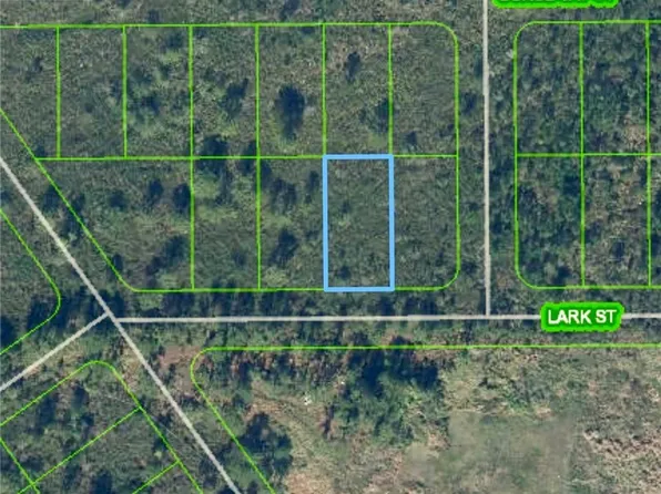 1322 Lark St, Lake Placid, FL 33852