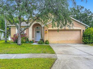 9314 Blackthorn Loop, Land O Lakes, FL 34638