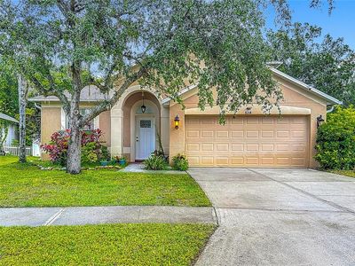 9314 Blackthorn Loop, Land O Lakes, FL, 34638