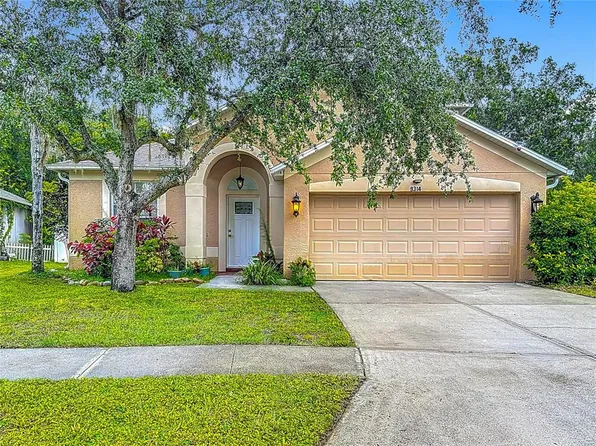 9314 Blackthorn Loop, Land O Lakes, FL 34638