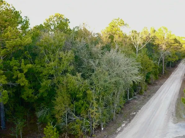 162nd Ter Lot 7, Mc Alpin, FL 32062